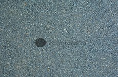 Black Mosaic