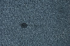 Black Mosaic
