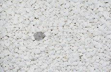 White Mosaic