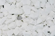 White Mosaic